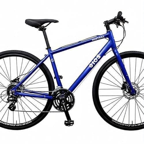 GIOS MISTRAL DISC
